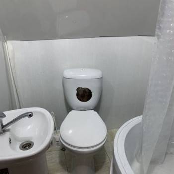 Сдается Комната, 25 м²