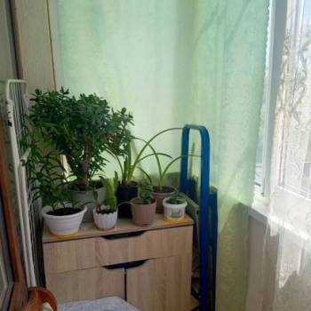 Продается 1-комнатная квартира, 23 м²