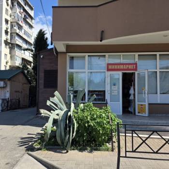 Сдается Нежилое помещение, 53,2 м²