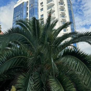 Продается 2-х комнатная квартира, 44,5 м²
