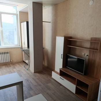 Сдается 1-комнатная квартира, 27,4 м²