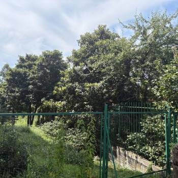 Продается Участок, 480 м²