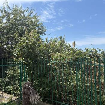 Продается Участок, 480 м²