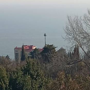 Сдается Комната, 0 м²