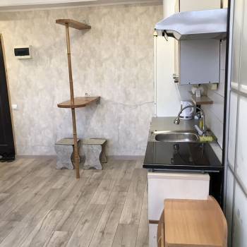 Сдается 1-комнатная квартира, 27 м²