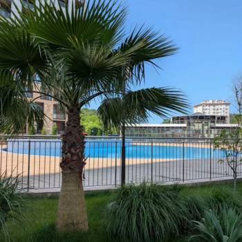 Сдается 1-комнатная квартира, 27,1 м²