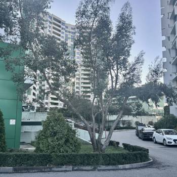 Продается 3-х комнатная квартира, 99,6 м²