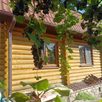 Сдается Дом, 70 м²