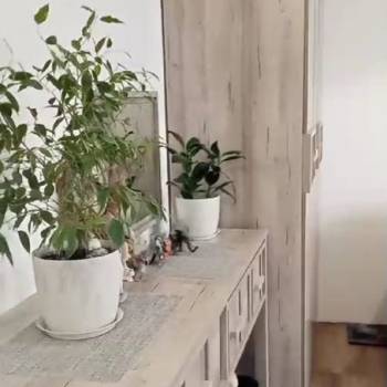 Сдается 1-комнатная квартира, 19 м²