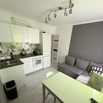 Сдается 1-комнатная квартира, 41,3 м²