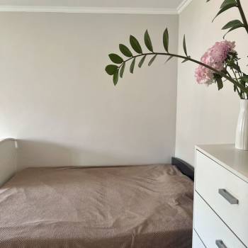 Сдается 1-комнатная квартира, 29,9 м²