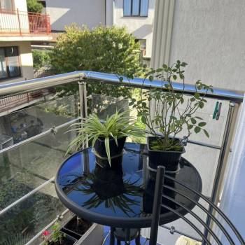 Сдается 1-комнатная квартира, 31,4 м²