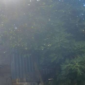 Продается Участок, 600 м²