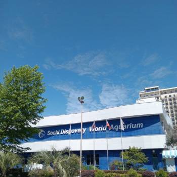 Сдается 1-комнатная квартира, 22 м²