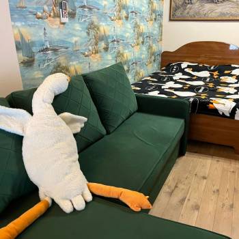 Сдается 2-х комнатная квартира, 53 м²