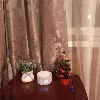 Сдается 1-комнатная квартира, 12,5 м²
