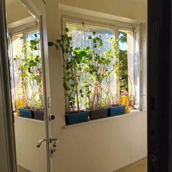 Сдается 1-комнатная квартира, 48 м²