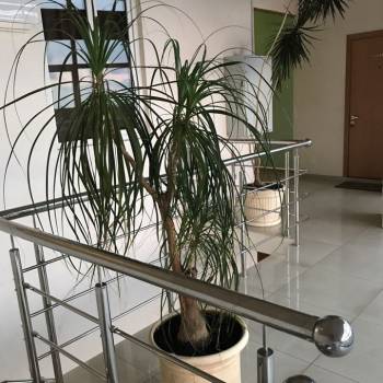 Сдается Многокомнатная квартира, 60 м²