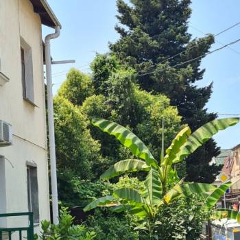 Продается 3-х комнатная квартира, 115 м²
