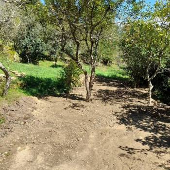 Продается Участок, 600 м²