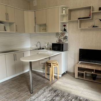 Продается 1-комнатная квартира, 25,3 м²