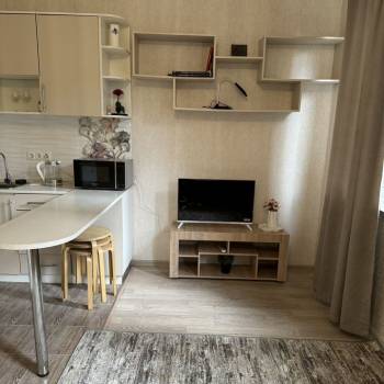 Продается 1-комнатная квартира, 25,3 м²