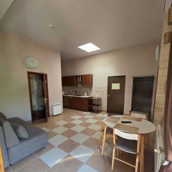 Сдается 1-комнатная квартира, 50 м²