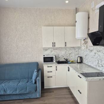 Сдается 1-комнатная квартира, 24,2 м²