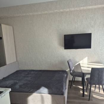 Сдается 1-комнатная квартира, 24,2 м²