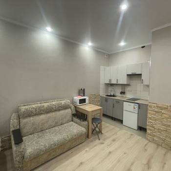 Продается 1-комнатная квартира, 26,4 м²