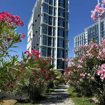 Продается 1-комнатная квартира, 25 м²