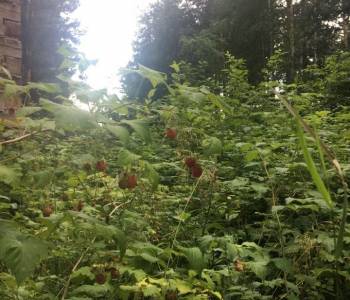 Продается Участок, 2080 м²