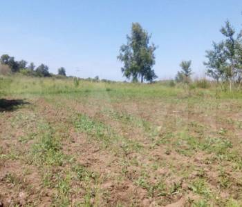 Продается Участок, 750 м²