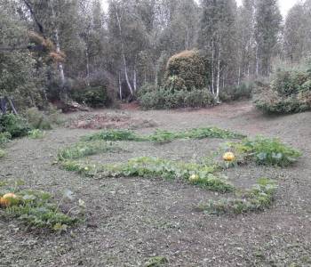 Продается Участок, 600 м²