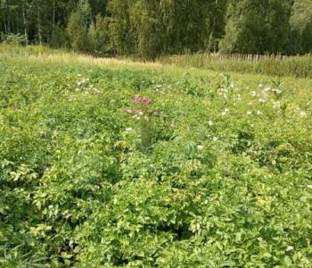 Продается Дом, 77 м²