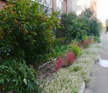 Сдается Посуточно, 39 м²