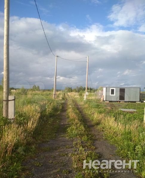 Фотография №2