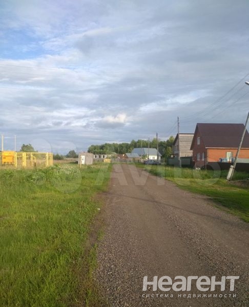 Фотография №3