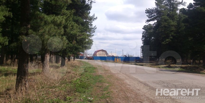 Фотография №4