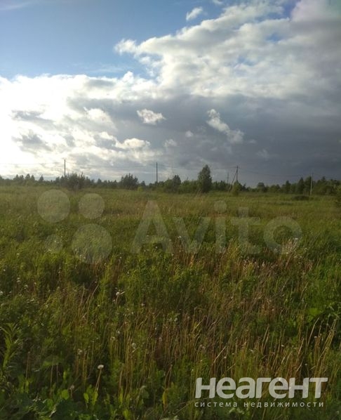 Фотография №5