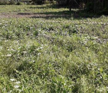 Продается Участок, 2500 м²