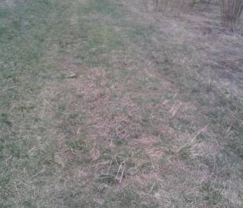 Продается Участок, 10000 м²