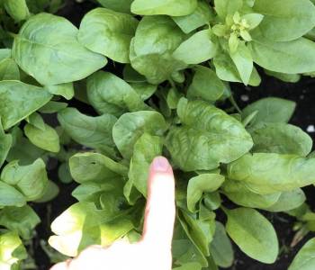 Продается Дом, 20 м²