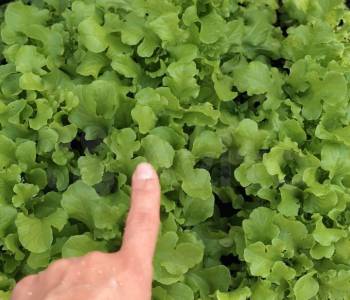 Продается Дом, 20 м²