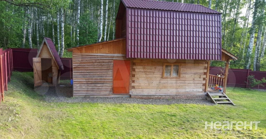 Фотография №4