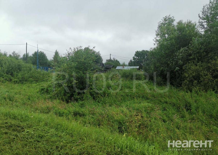 Фотография №3