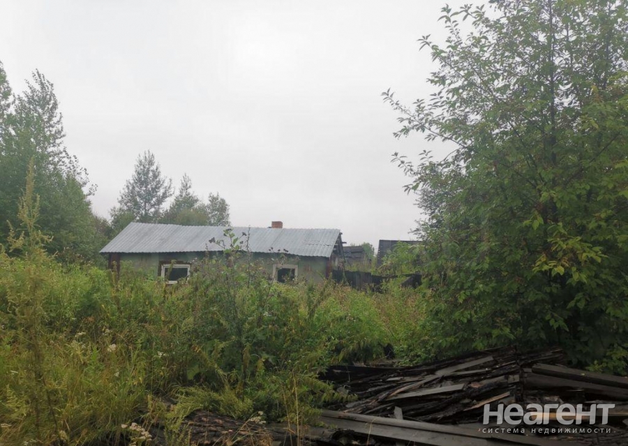 Фотография №4