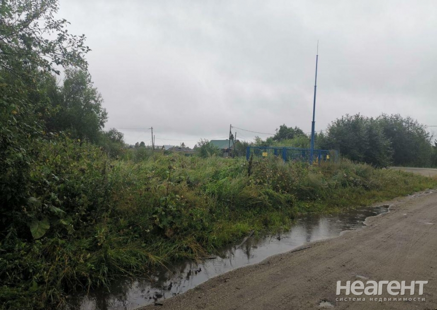 Фотография №5