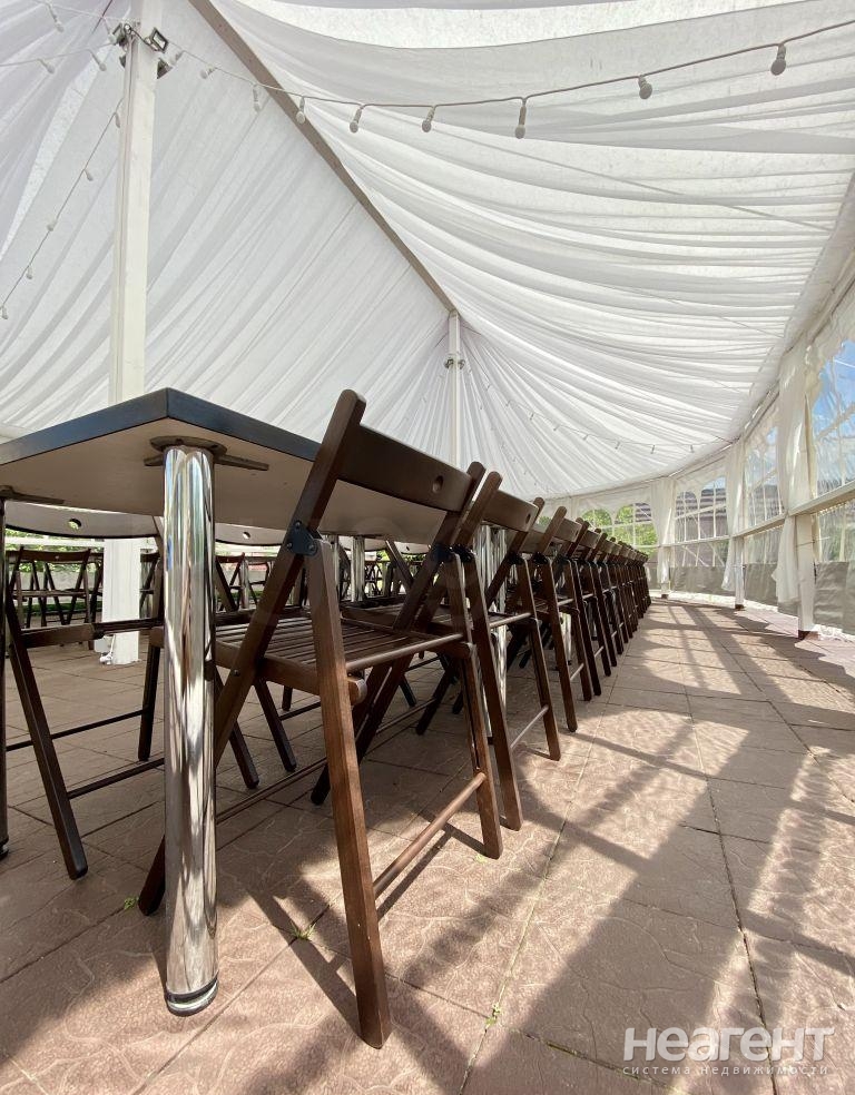 Фотография №7