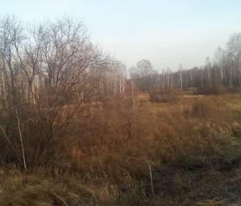 Продается Участок, 24000 м²